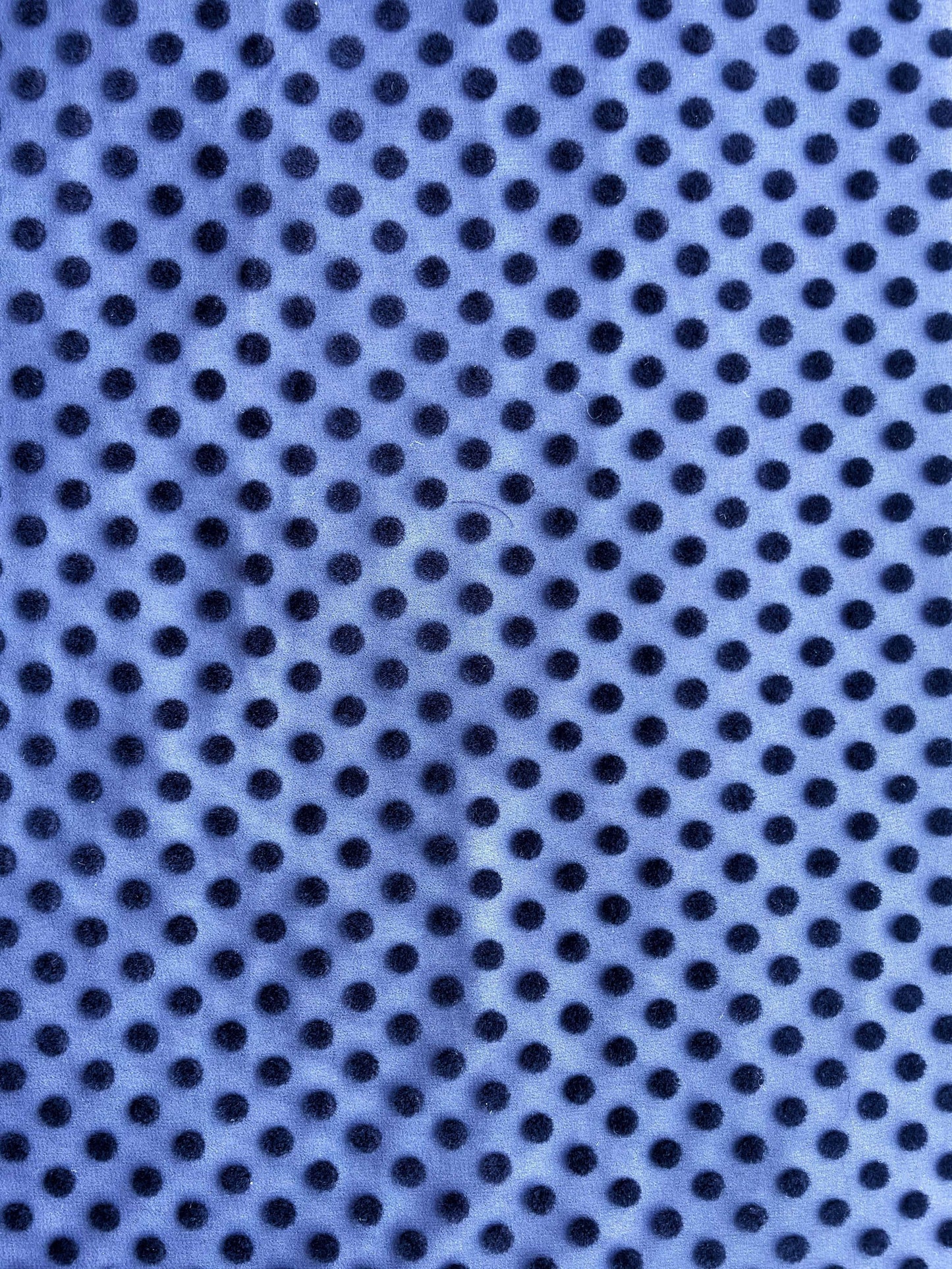 NOCTIS: Polka dot velvet veil