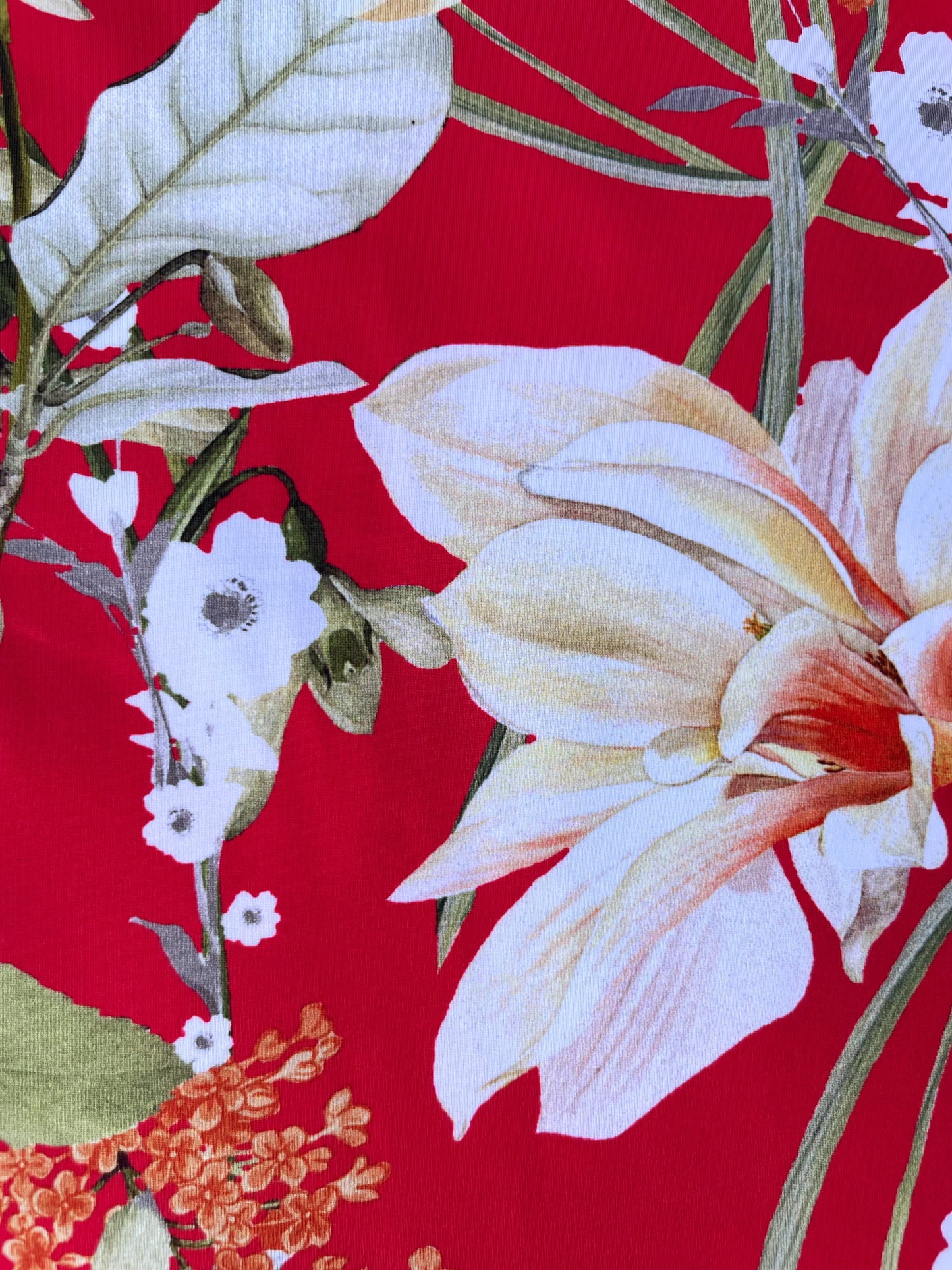 LUCRÈCE: Maille imprimé Floral Vintage