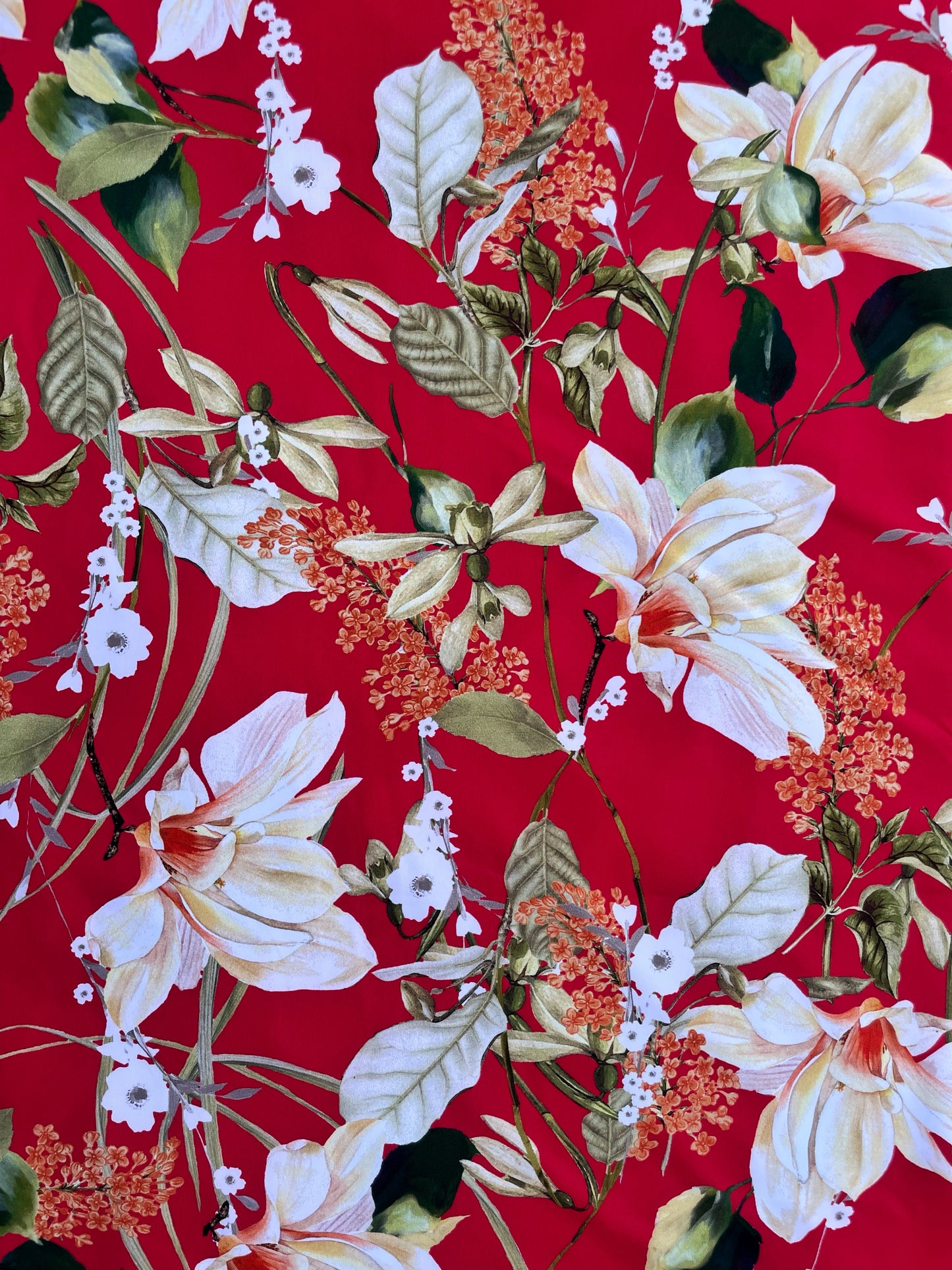 LUCRÈCE: Maille imprimé Floral Vintage