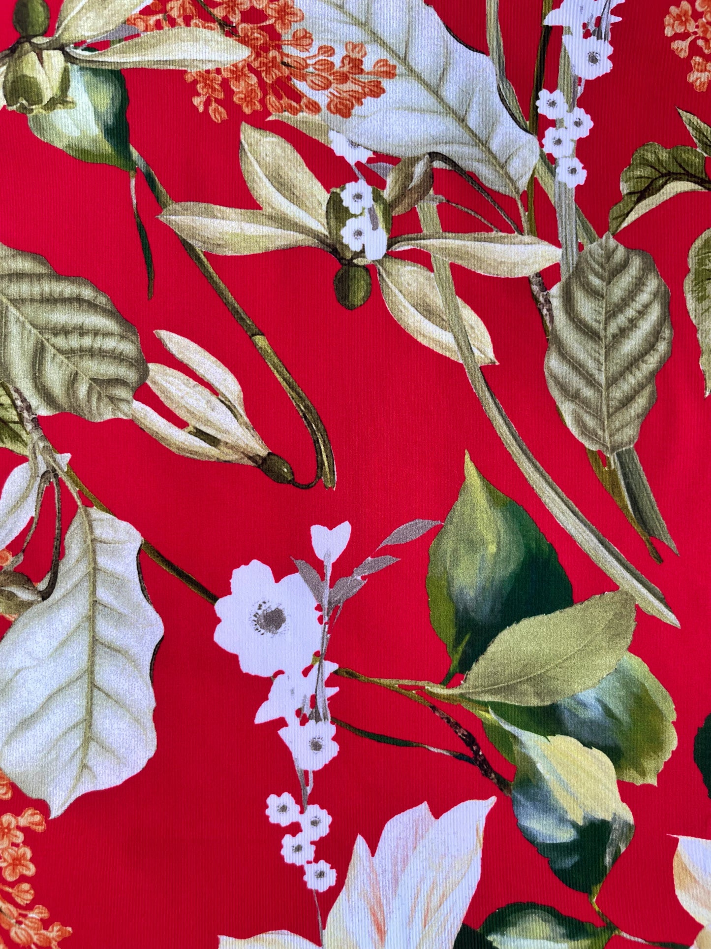 LUCRÈCE: Maille imprimé Floral Vintage